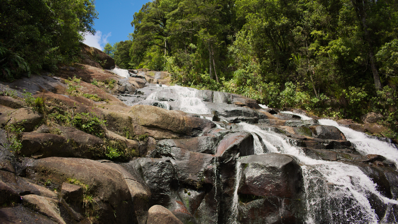 Cascadas en Minca, Colombia, conocerlas es unas de las mejores cosas que hacer en Minca