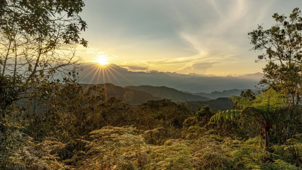 amanecer en Minca, Santa Marta 